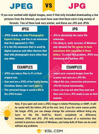 Pin On English Vocabulary