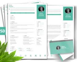 Build your resume within minutes. Free Resume Template Fluxes Freebies