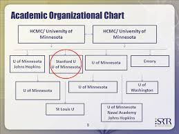 77 Eye Catching University Of Minnesota Organizational Chart