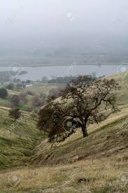Panoramic View Of The Lagoon Valley Park In Vacaville California Usa Featuring A Pasture With Leafless