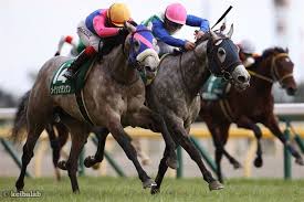 アリス・ギア・アイギス 3周年記念 コトブキヤコラボイベント in kotobukiya. ãã¤ã¤ã¢ã³ãs ä»å¹´ãè'ãã å¹´ã«ä¸åº¦ã®èå°ã¯é©æ§åè²  ç«¶é¦¬ãã¥ã¼ã¹ ç«¶é¦¬ã©ã