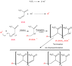 Píldoras de nuestro equipo de fútbol sala. Scheme Of The Proposed Mechanism Of Radical Oligomerization Of Mvk In Download Scientific Diagram