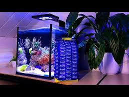 Pin By Nemo Twety On 25 Salt Water Reef Fish Aquarium Nano Reef Tank Reef Tank Reef