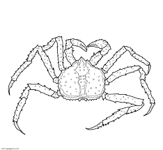 For boys and girls, kids and adults, teenagers and toddlers, preschoolers and older kids at school. King Crab Coloring Pages Crab Coloring Pages Coloring Pages For Kids And Adults