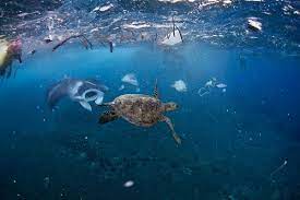 Siasat segera pencemaran sungai ulu benut sungai machap sultan. Foto Sampah Plastik Di Lautan Indonesia Mongabay Co Id Mongabay Co Id