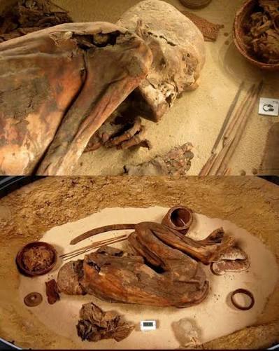 The green mummified remains of a teenager buried in Italy 200 to 400 years  ago have given us new insights into the preservative properties of copper