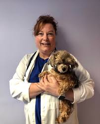 Check spelling or type a new query. Meet Our Veterinarians In Virginia Beach Va Beach Pet Hospital