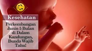 Dengan teknologi yang ada sekarang, jantina bayi dalam kandungan boleh diketahui seawal umurnya 4 bulan. Perkembangan Janin 5 Bulan Di Dalam Kandungan Bunda Wajib Tahu Youtube