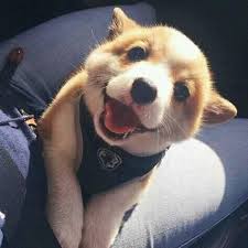 Kalau kamu adalah orang yang sedang mencari gombalan jitu untuk pujaan hati. Kata Kata Gombal Rayuan Home Facebook