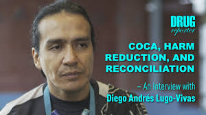 Coca, Harm Reduction, and Reconciliation