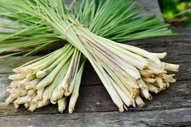Lemongrass: 11 Health Benefits, How to Use & Side Effects - Tua Saúde