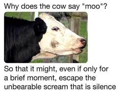 Pin By Soumo Eu On Funny Animals Nihilist Memes Funny Seriously Funny