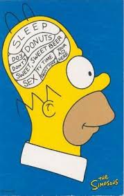 Pin On Brain Matters