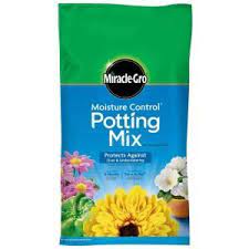 Maybe you would like to learn more about one of these? Pin On C S Garden