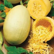 Dig a hole slightly larger than the root of the plant. Vegetable Spaghetti Squash Seeds Urban Farmer