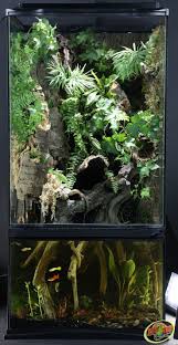 Paludarium In 2020 Reptile Terrarium Aquarium Landscape Habitats