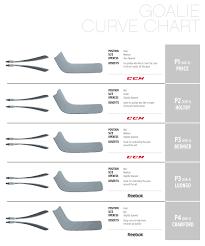 Ccm 860 Goal Stick Int