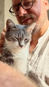 Avea un chef Negroni:)))) , #negroni #the #cat