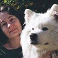 PDF) Modernism revisited : transgressing boundaries and strategies of  renewal in American poetry