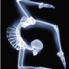 Check spelling or type a new query. Pin By Best Yoga Ideas On Yoga Gymnastics Dance Life Dance Art