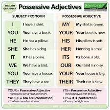 Possessive Pronouns ضمائر الملكية Languages On Line