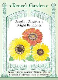 Add these pretty soft pink globe amaranth natural flow. Bright Bandolier Bouquet Sunflowers Renee S Garden Seeds