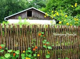Cottage Gardens Ewa In The Garden Cottage Garden Typical In Krakow Garden Design Cottage Garden Garden Fence Wattle Fence