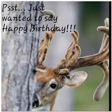Free Funny Happy Birthday Images For Him Image Result For Happy Birthday Hunting Happy Birthday Hunting Happy Birthday Wishes For Him Happy Birthday Wishes For A Friend