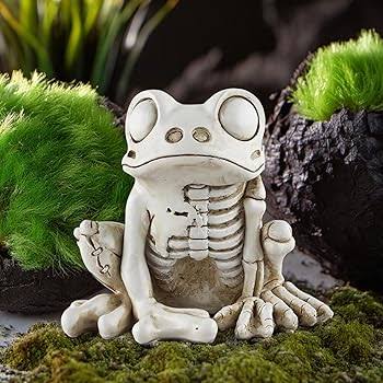 Amazon.com: LYSINK Skeleton Frog Halloween Decor Model, Plastic Animal Skull  Frog Bone Art Ornaments, White, 9.2cmx8.2cmx6.3cm : Home & Kitchen