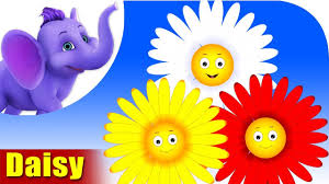 Used in poems and poetry, songs, lyrics and music. Daisy Flower Song 4k Appu Series Youtube