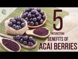 Organic Facts Your Gateway To Unbiased Info On Nutrition Benefits Of Food Teas Essential Oils Oils Fruits Vegetables Acai Benefits Acai Berry Berries