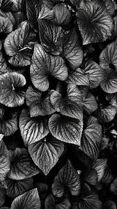 Bodybangers Feat Victoria Kern Godfrey Egbon No Limit Pin By Ann Cross Storms On Photography Beautiful Nature Nature Beautiful