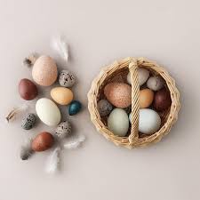 Toy Shop S Instagram Post Beautiful New Wooden Bird Eggs Are In The Shop These Are So Beautiful In Person Swoon Hand P Bird Eggs Egg Basket Wooden Bird