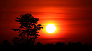 Sunset, also known as sundown, is the daily disappearance of the sun below the horizon due to earth's rotation. Sunset And Super Blue Moon Rising Back Over Clouds And Silhouettes Of Trees 2757874 Stock Video At Vecteezy