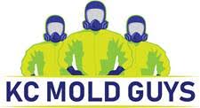 Mold Remediation In Missouri Kc Mold Guys