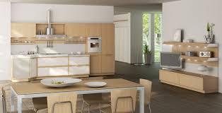 light oak wooden kitchen designs digsdigs