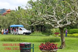 Taman bunga nusantara didirikan atas gagasan dari ibu dani bustanil arifin di tahun 1992. Taman Bunga Nusantara Puncak Cipanas Jalan Jalan Yuk