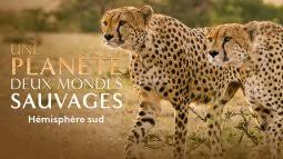 Le replay de pluzz france 2. Replay Une Planete Deux Mondes Sauvages Emission Du 08 Fevrier 2020 Du France 2