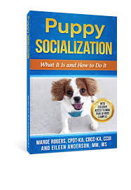 Kong puppy toy (verified review). Is That Enrichment Toy Enriching Not So Much Eileenanddogs