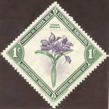 Image result for Strophanthus bequaertii