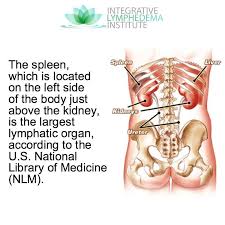 Pin On Lymphodema