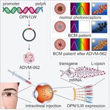 Image result for Blue 1999 AAV