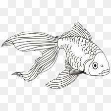 How many fish coloring page. Free Coloring Pages Png Images Hd Coloring Pages Png Download Page 3 Vhv