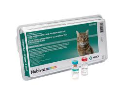 The cat flu vaccine for example, offers about 80% protection. Feline Panleukopenia Merck Animal Health Usa