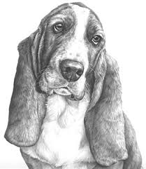 Portraiture / animals / realism How To Draw Hair Graphite Pencil Tips And Techniques