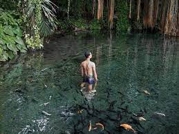 Inilah tempat wisata alam, wisata keluarga, wisata anak, air terjun, dan taman yang ada di sumedang, jawa barat yang paling di rekomendasikan untuk alamat: Mata Air Sirah Cipelang Tiket Masuk Info Lokasi Jalansepi Com