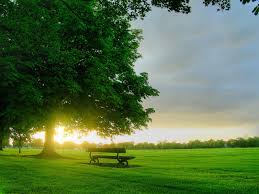 Feel free to send us your own wallpaper and we will consider adding it to appropriate category. 49 Good Wallpaper Pictures On Wallpapersafari