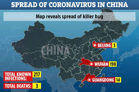 Image result for corona virus