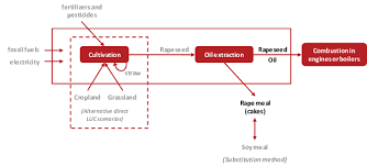 Flow Chart Illustrating The Life Cycle Chain Well To Tank