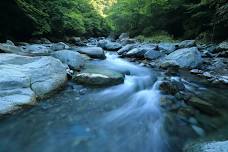 Catskills Fishing Trip — Chesapeake Women Anglers